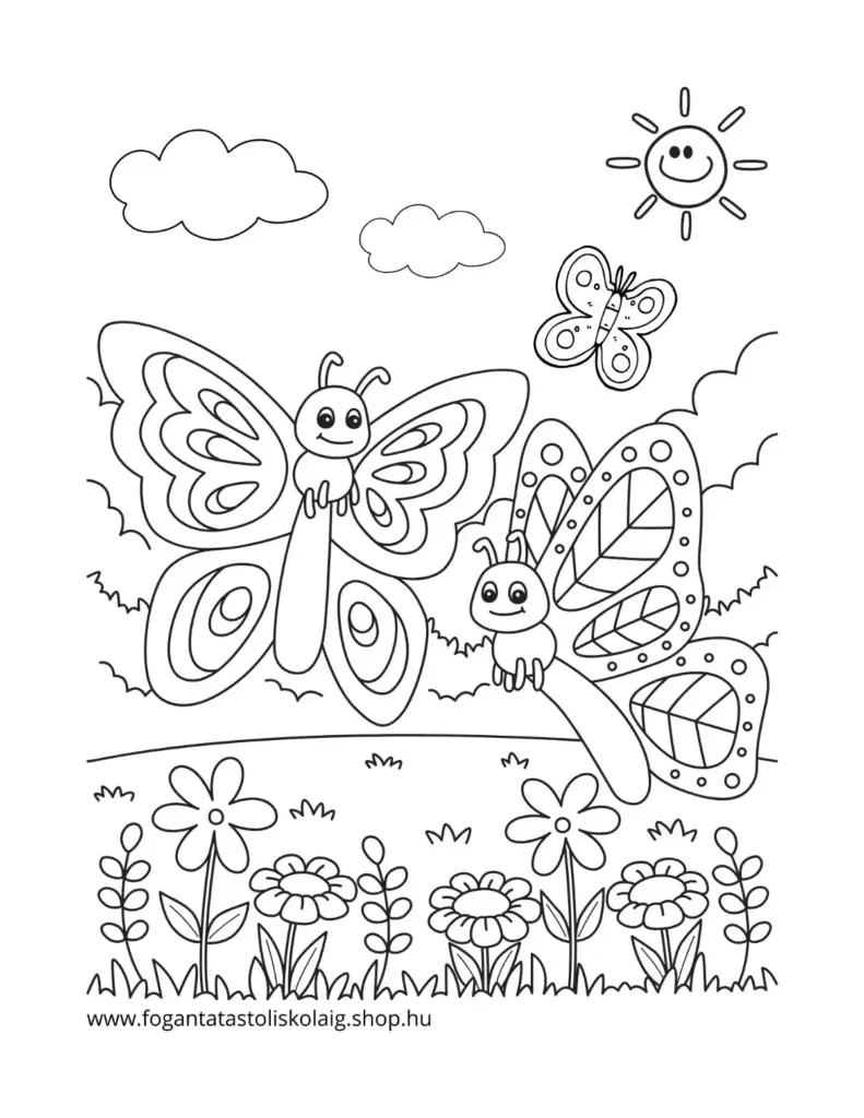 pillangós szinező